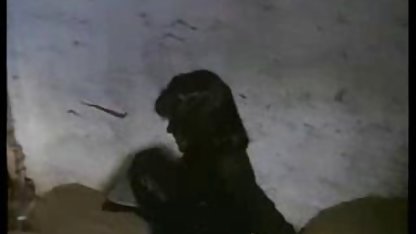 Küçük cep porn göğüslü tatlı